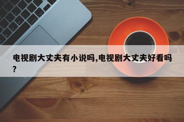 电视剧大丈夫有小说吗,电视剧大丈夫好看吗?